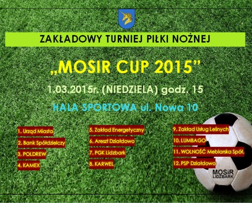 mscup2015