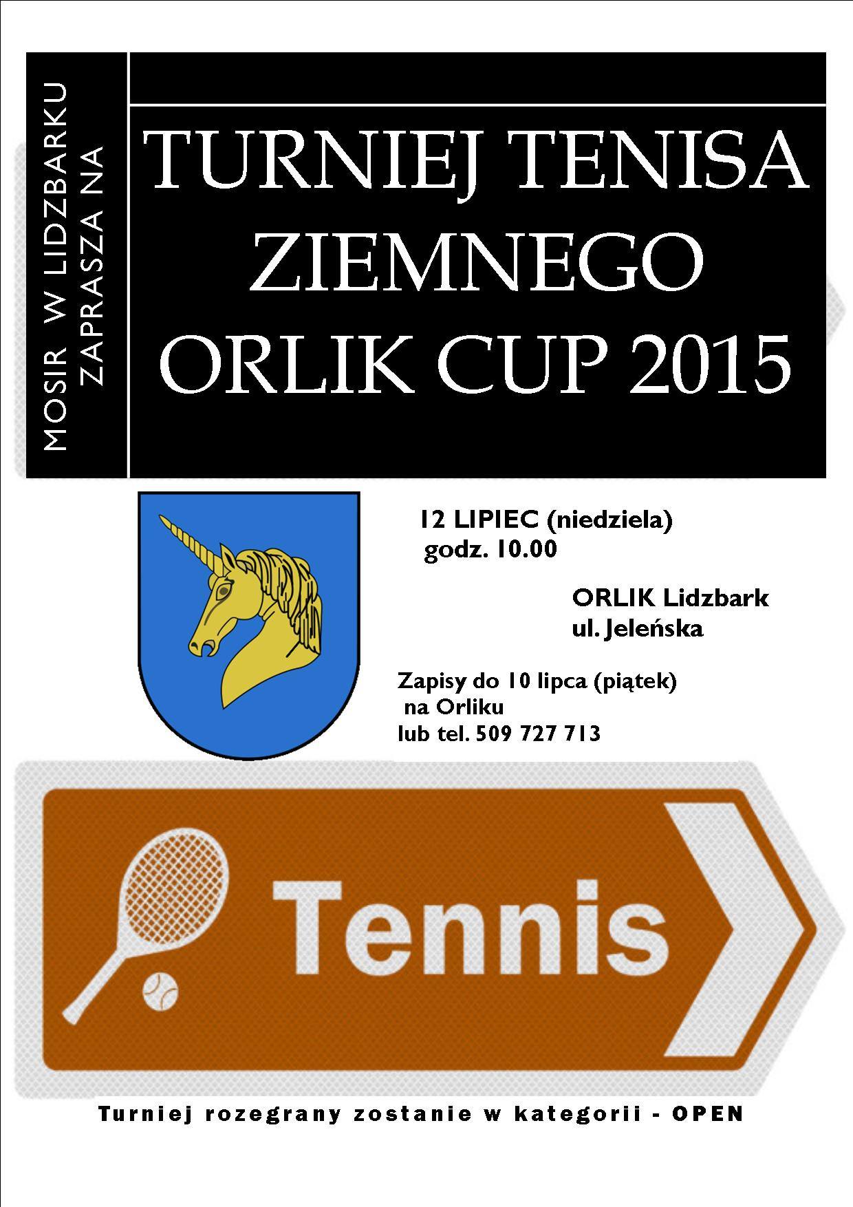 Turniej Tenisa Ziemnego Orlik CUP 2015