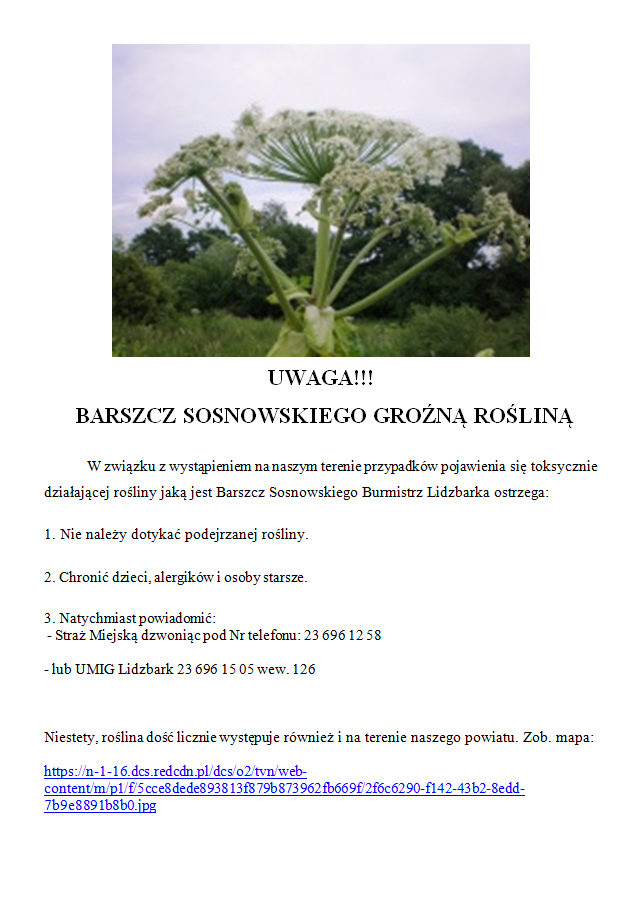 UWAGA!!! BARSZCZ SOSNOWSKIEGO GROŹNĄ ROŚLINĄ