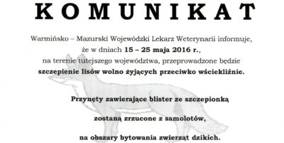 Uwaga! Szczepienie lisów przeciwko wściekliźnie