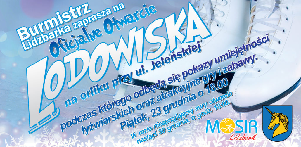 Str.12 lodowisko