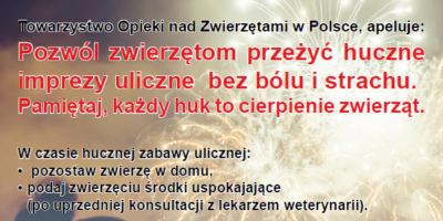 Jak pomóc zwierzętom przeżyć sylwestra?