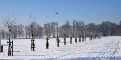 W zimę ŚNIEG leży wszędzie... także na Twoim dachu
