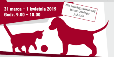 Zapisy na bezpłatna sterylizacje psów i kotów