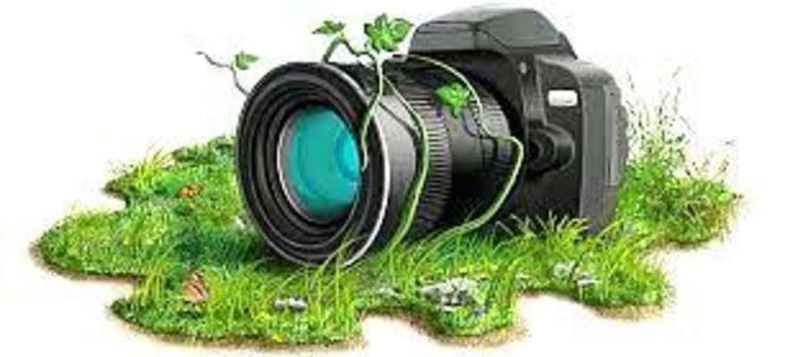 Zachęcamy do udziału w konkursie fotograficznym pn. „Wyjątkowe Miejsca Powiatu Działdowskiego”