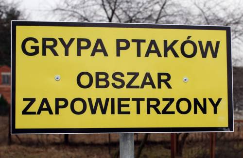 Rozporządzenia Powiatowego Lekarza Weterynarii